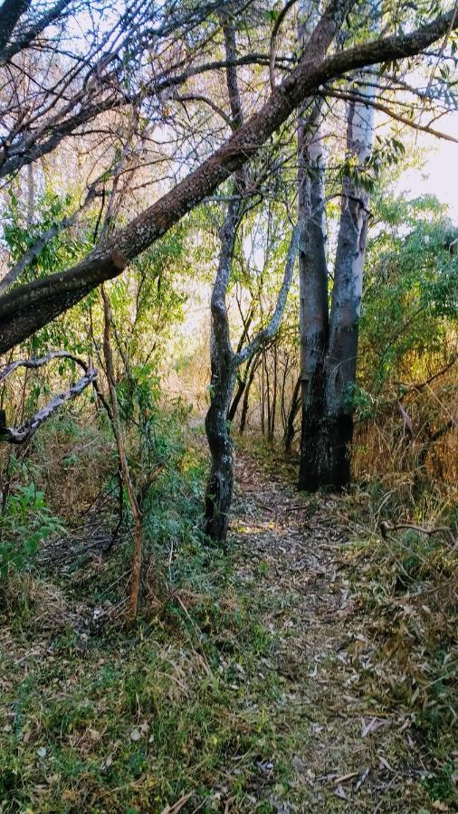 Гостьовий будинок Otters' Haunt Eco Retreat Парис Екстер'єр фото